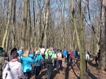 II Rajd po Wiosnę 2022 - 200 uczestników spacerowało po Lesie Łagiewnickim, 